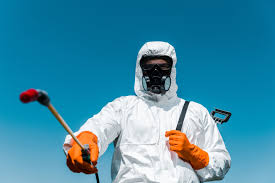 Best Bee and Wasp Removal  in Huntingdon, TN